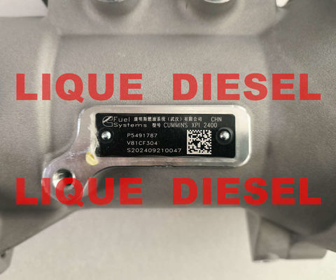 CUMMINS XPI 2400 Fuel pump P5491787 5491787 supplier