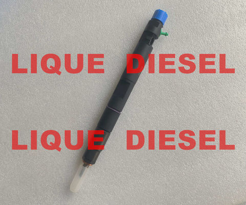 DELPHI Fuel Injector 28229876 Common Rail Injector 320 06827 320/06827 32006827 320-06827 for JCB 4.4D supplier