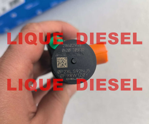 DELPHI Common Rail Injector 28602948 9674984080 28388960  28319895 supplier