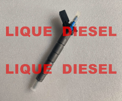 BOSCH Common rail injector 0445117047 0445117048 0 445 117 047 0 445 117 048 0445117 047 0445117 048 supplier