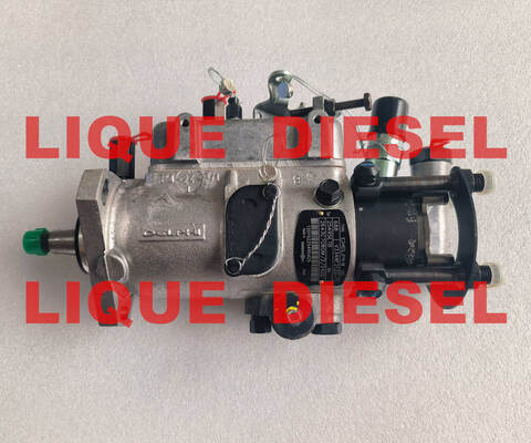 DELPHI  fuel pump 3348F212G common rail pump supplier