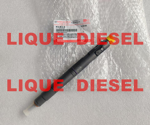 COMMON RAIL INJECTOR 42039950 1100100XED95 FUEL INJECTOR  1100100-XED95 supplier
