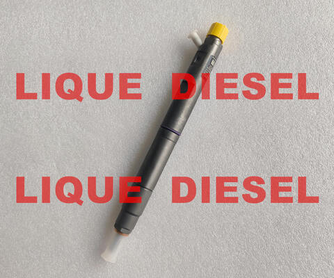 42039950 FUEL INJECTOR 42039950 1100100XED95  COMMON RAIL INJECTOR  1100100-XED95 supplier