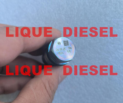 Genuine Pressure Relief Valve 1110010024 1 110 010 024 supplier