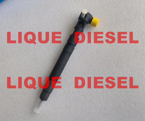 Genuine EMBR00301D fuel injector EMBR00301D R00301D 6710170121 A6710170121 supplier