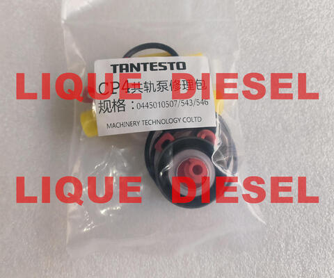 Genuine CP4 pump repair kits CP4 pump overhaul kits for pump 0445010507 0445010543 0445010546 supplier