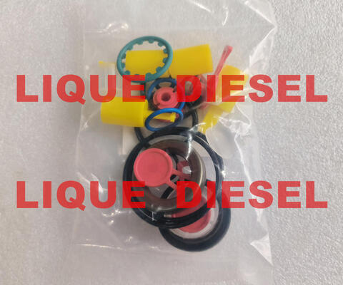 Genuine CP4 pump repair kits CP4 pump overhaul kits for pump 0445010507 0445010543 0445010546 supplier
