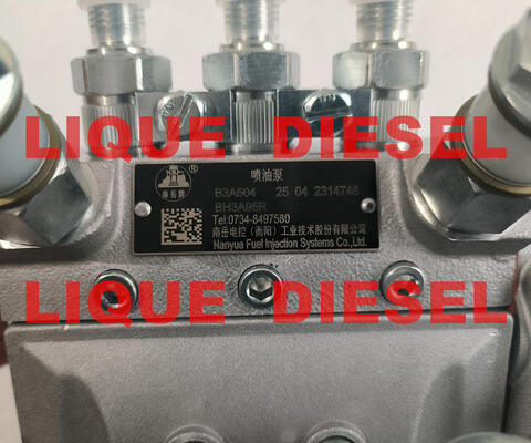 Genuine Fuel Pump B3A504 BH3A95R common rail pump supplier
