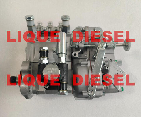 Genuine Fuel Pump B3A504 BH3A95R common rail pump supplier