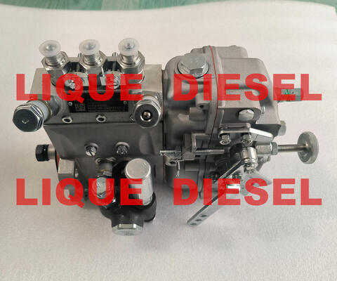 Genuine Fuel Pump B3A504 BH3A95R common rail pump supplier
