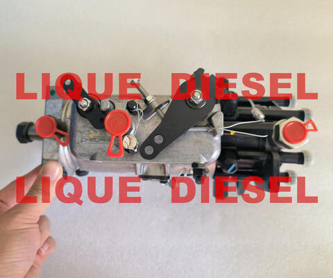 Genuine Fuel Pump 3062F075 3062F074 3062F073 3062F072 3062F071 3062F070 3062F07# supplier