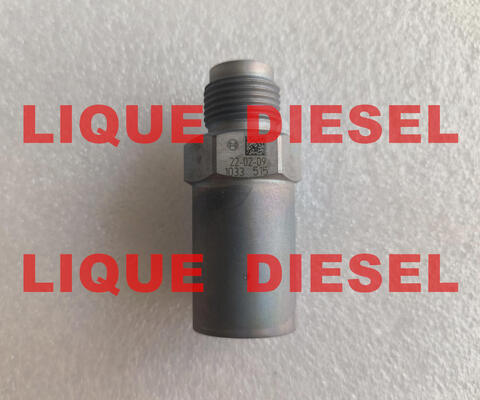 Genuine valve 1110010033 Pressure Relief Valve 1 110 010 033 supplier