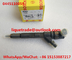 BOSCH INJECTOR 0445110059 , 0 445 110 059 Common Rail injector 0445110059 , 0445 110 059 supplier