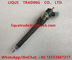 BOSCH fuel injector 0445120260 , 0 445 120 260 , 0445 120 260 Common Rail Injector supplier