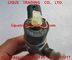 BOSCH INJECTOR 0445110313 Common Rail injector 0445110313 , 0 445 110 313 , 0445 110 313 , 445110313 supplier