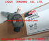 DELPHI Common rail injector 28489562 / 25195088 , 28264952 / 25183185 supplier