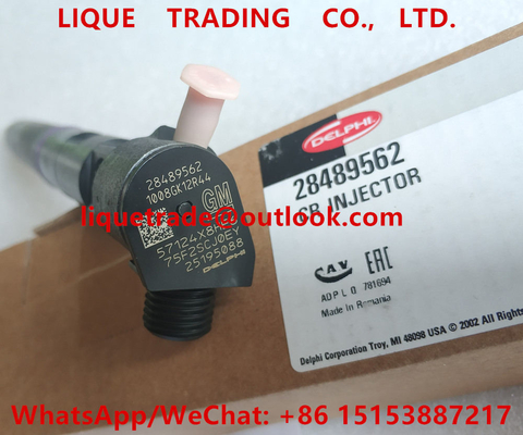 DELPHI Common rail injector 28489562 / 25195088 , 28264952 / 25183185 supplier