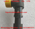DELPHI common rail injector 28384645 ,  A6720170021 , 6720170021 for SSANGYONG D22 EURO 6 supplier