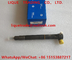 DELPHI FUEL INJECTOR 28384645 ,  A6720170021 , 6720170021 for SSANGYONG supplier
