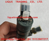 BOSCH Common Rail Fuel Injector 0445110558 , 0 445 110 558 , 0445110 558 supplier