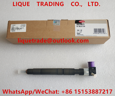 DELPHI fuel injector 33800-4A710 , 28229873 for HYUNDA KIA 33800 4A710 , 338004A710 supplier