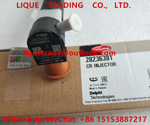 DELPHI Common rail injector 28236381 , 33800-4A700 , 338004A700 for HYUNDAI Starex 33800 4A700 supplier