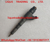 BOSCH Common rail injector 0 445 120 066 , 0445120066 , 445120066 supplier