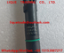 DELPHI Common Rail Injector EJBR03902D EJBR03901D, 33800-4X400 for KIA Carnival Euro IV supplier