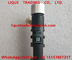 DELPHI Common Rail injector EJBR04401D , R04401D , A6650170221, 6650170221 for SSANGYONG supplier