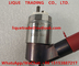 CAT Fuel Injector 326-4740 / 3264700 For Caterpillar CAT 315D/318D/319D Injector 326 4740 supplier