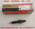 CUMMINS INJECTOR 4063212 common rail injector 4063212 genuine and new supplier