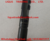 DELPHI Common Rail Injector EJBR03701D , EJBR02901D , R03701D for HYUNDAI &amp; KIA 338014X810, 338004X800 supplier