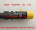 DELPHI common rail injector EJBR04201D , R04201D for Mercedes Benz A6460700987 , 6460700987 supplier