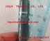 DELPHI Fuel Injector EJBR05001D , R05001D , 320/06623 , 320-06623 , 32006623 supplier