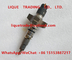 BOSCH Common rail injector 0445120075 for IVECO 504128307, 5801382396, CASE NEW HOLLAND 2855135 supplier