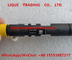 DELPHI Common rail injector EJBR03301D , R03301D for JMC Transit 2.8L/Jiangling Motors supplier