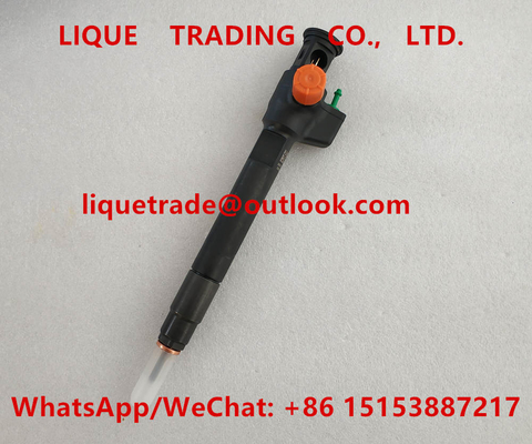 DELPHI Common Rail Injector 28602948 ,  9674984080 , 28388960 , 28319895 supplier