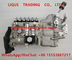 High pressure fuel injection pump assembly BH6PA110R , 6R4ZLD310100 LONGKOU PUMP supplier