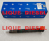 DELPHI Fuel Injector 28337917 , 400903-00074D , 400903-00074C , 40090300074D , 40090300074C  for DOOSAN supplier