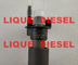 BOSCH Diesel Fuel Injector 0445115077 0445115050 0986435359 For BMW 13537808094 13537808089 supplier