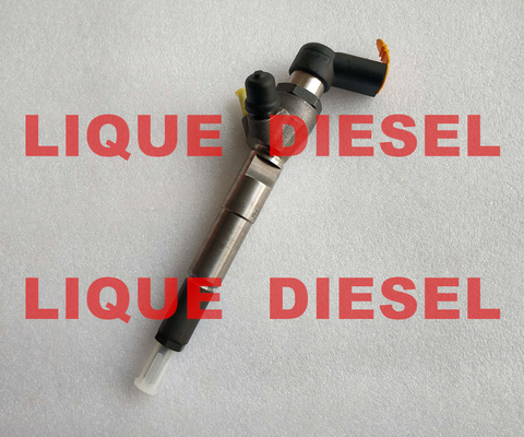 Siemens/VDO Diesel Injector A2C59513484 166008052R  16 60 080 52R 166004305R , 16 60 043 05R  8200903034 supplier