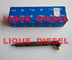 DELPHI fuel injector EMBR00301D R00301D 6710170121 A6710170121 for SSANGYONG Korando injector supplier