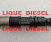 John Deere fuel injector DZ100217 RE529118 0950006490 0950006491 0950006492  RE546781 RE524382 for supplier
